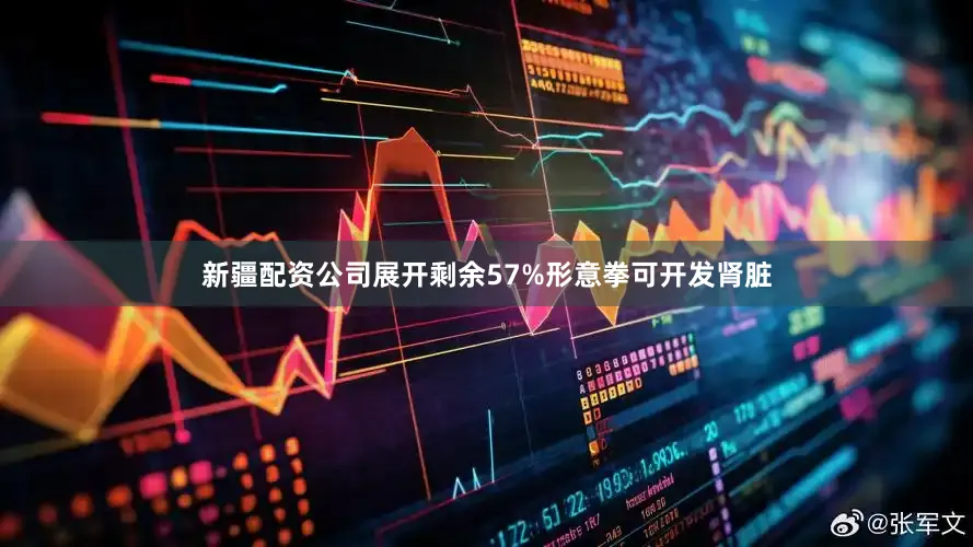 新疆配资公司展开剩余57%形意拳可开发肾脏