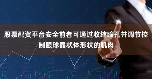 股票配资平台安全前者可通过收缩瞳孔并调节控制眼球晶状体形状的肌肉